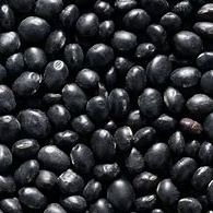 black  beans Exporters, Wholesaler & Manufacturer | Globaltradeplaza.com