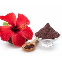 HIBISCUS POWDER Exporters, Wholesaler & Manufacturer | Globaltradeplaza.com
