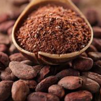 Cocoa Bean and  Powder Exporters, Wholesaler & Manufacturer | Globaltradeplaza.com
