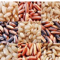 Ceylon Rice Exporters, Wholesaler & Manufacturer | Globaltradeplaza.com