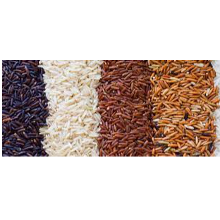 Ceylon Rice Verities Exporters, Wholesaler & Manufacturer | Globaltradeplaza.com