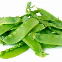 snow mangetout Exporters, Wholesaler & Manufacturer | Globaltradeplaza.com