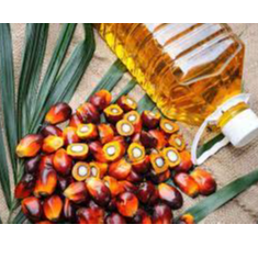 palm oil Exporters, Wholesaler & Manufacturer | Globaltradeplaza.com
