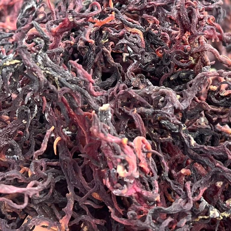 resources of DRIED SEA MOSS FROM VIETNAM exporters