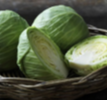 resources of Round Cabbage exporters
