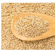 Sesam seed Exporters, Wholesaler & Manufacturer | Globaltradeplaza.com