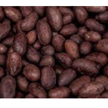 Cocoabeans Exporters, Wholesaler & Manufacturer | Globaltradeplaza.com