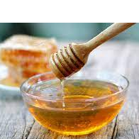 honey Exporters, Wholesaler & Manufacturer | Globaltradeplaza.com